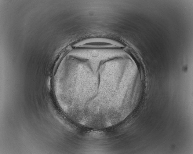 X0000115730067200912101502