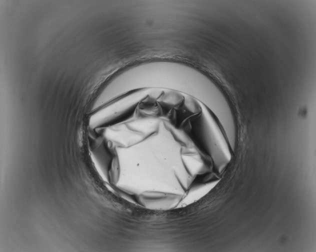 X0000115730068200912101502