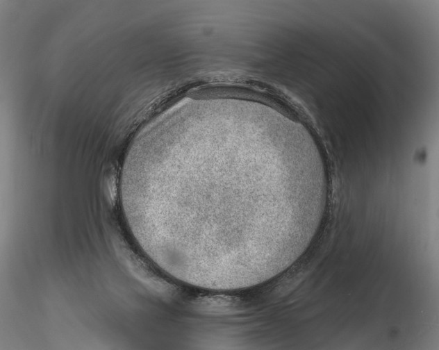 X0000115730069200912101502