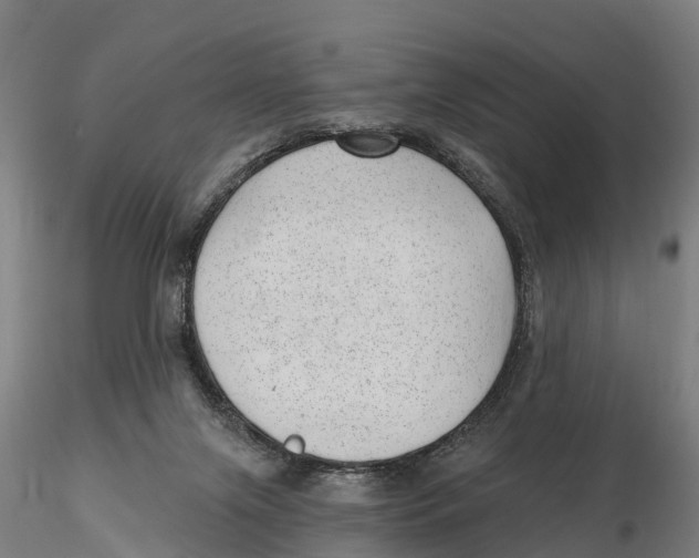 X0000115730071200912101502