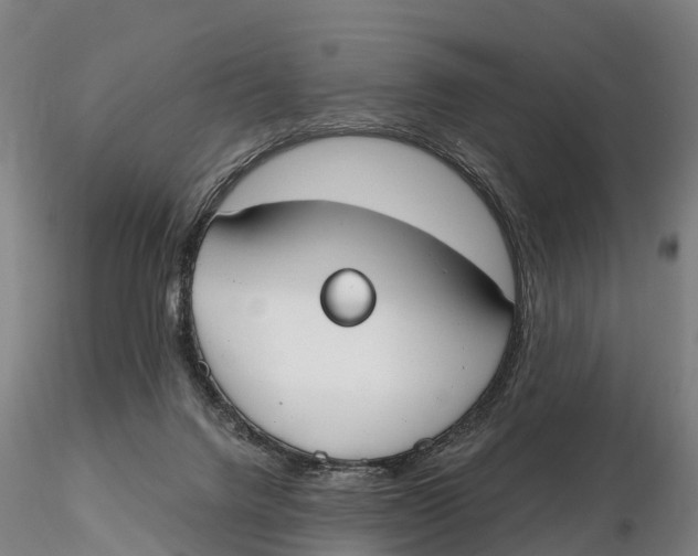 X0000115730072200912101502