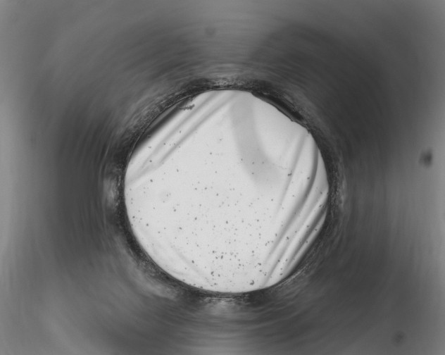X0000115730074200912101502
