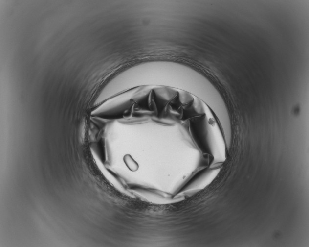 X0000115730076200912101502