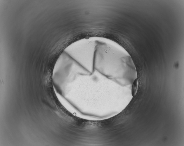 X0000115730077200912101502