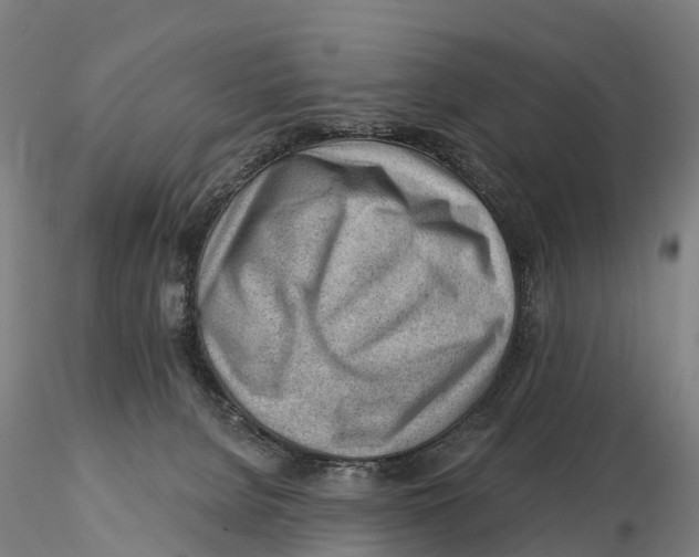 X0000115730080200912101502