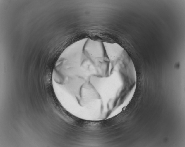 X0000115730081200912101502