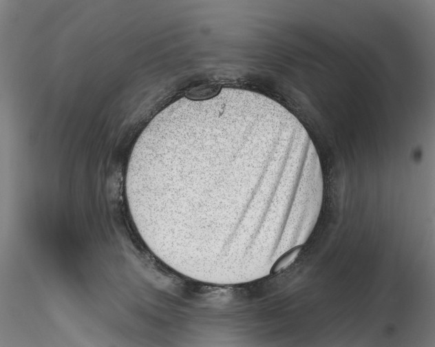 X0000115730083200912101502