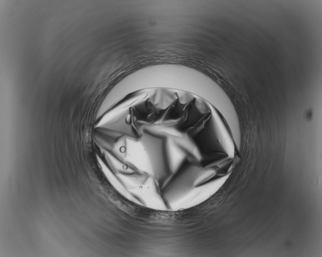 X0000115730084200912101502
