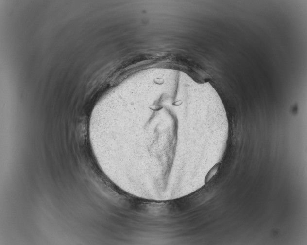 X0000115730085200912101502