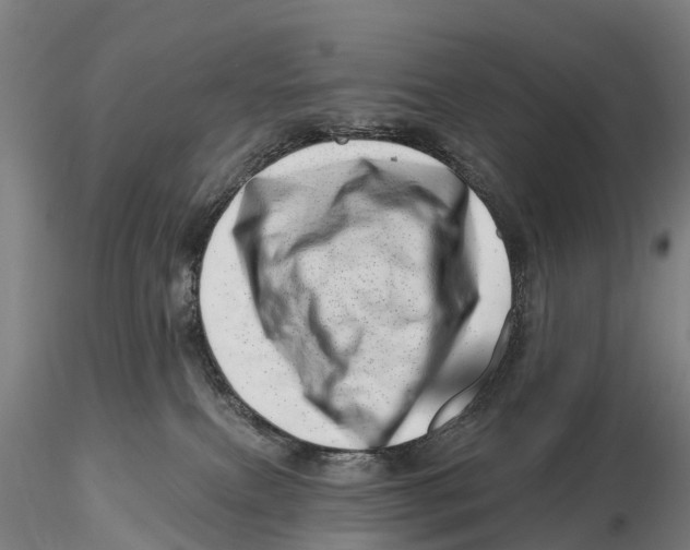 X0000115730087200912101502