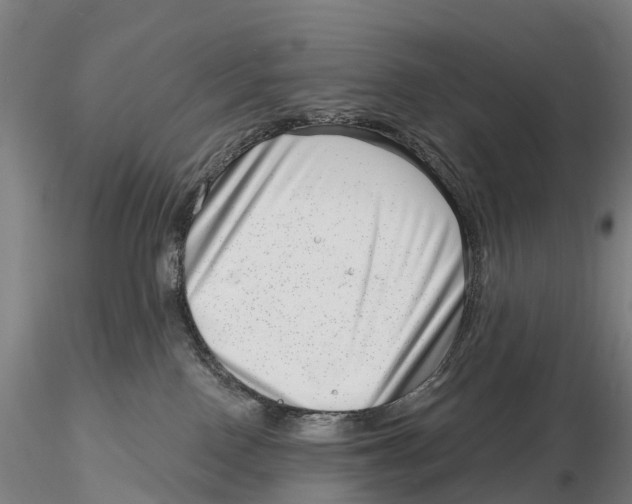X0000115730090200912101502