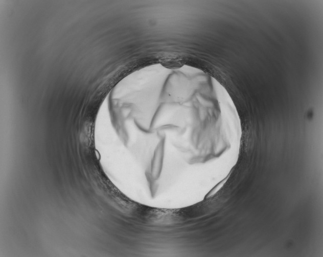 X0000115730093200912101502