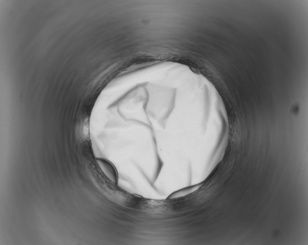 X0000115730095200912101502
