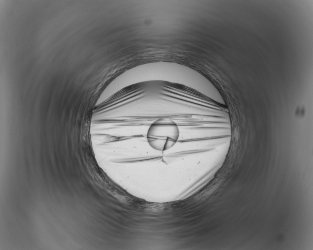 X0000115730096200912101502
