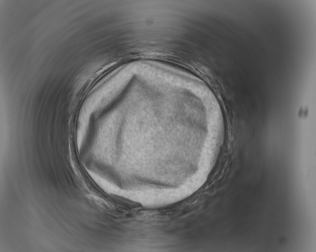 X0000115730097200912101501