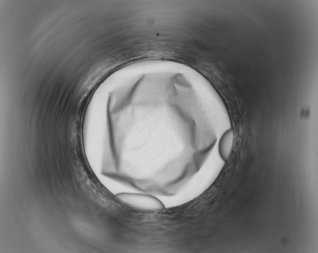X0000115730098200912101501