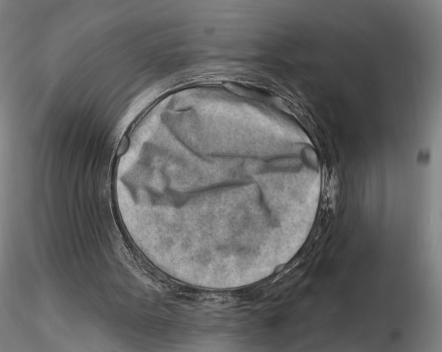 X0000115730099200912101501