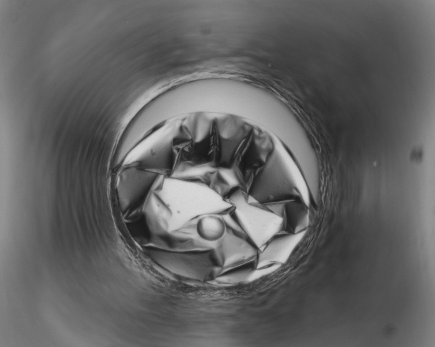 X0000115730100200912101501