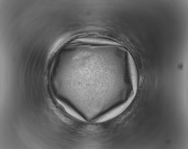 X0000115730101200912101501