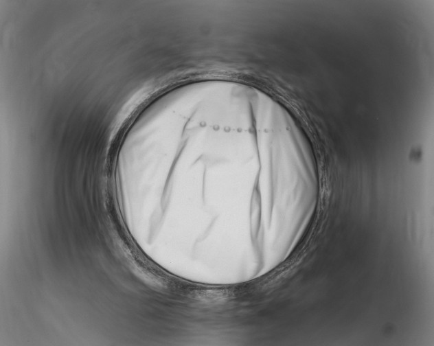 X0000115730102200912101501