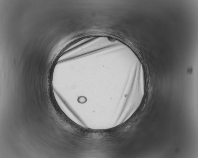 X0000115730103200912101501
