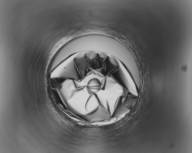 X0000115730104200912101501