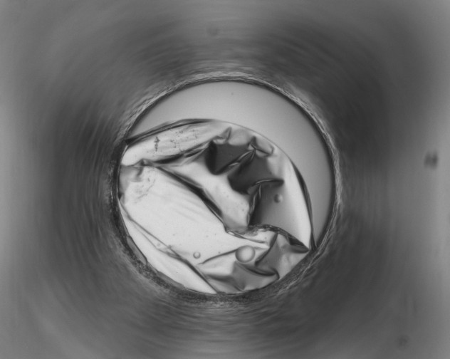 X0000115730105200912101501