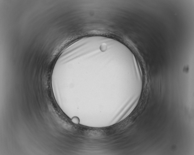 X0000115730106200912101501