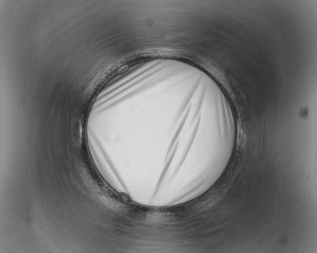 X0000115730109200912101501