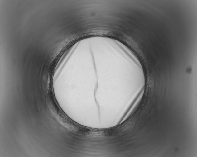 X0000115730110200912101501