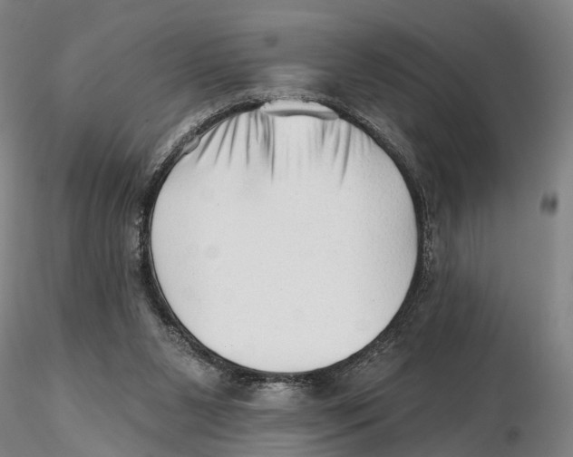 X0000115730111200912101501