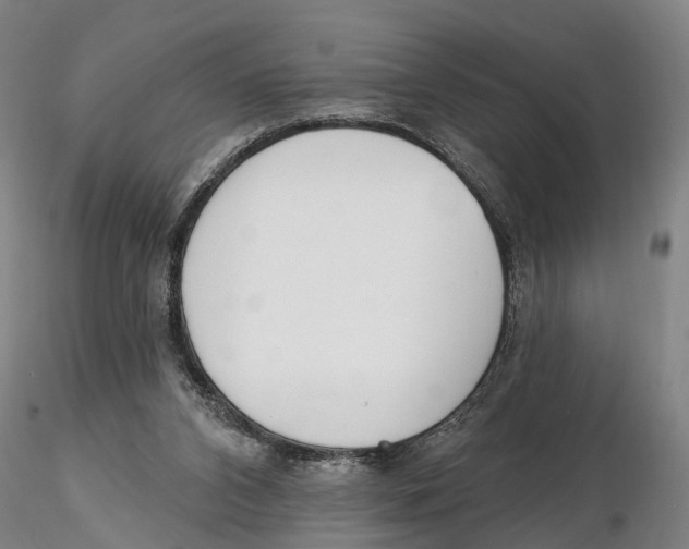 X0000115730112200912101501