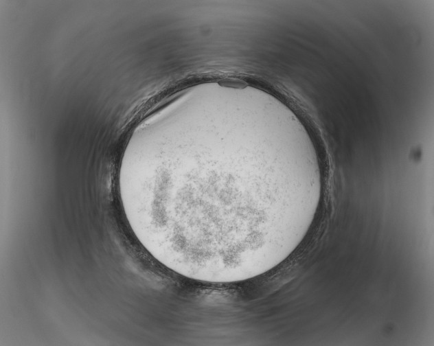 X0000115730115200912101501