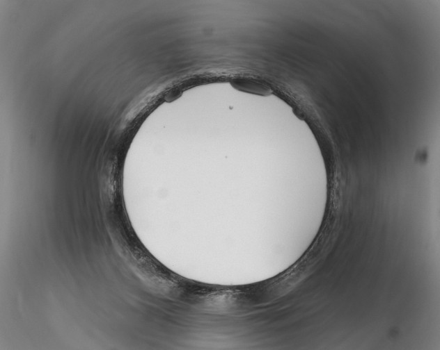 X0000115730116200912101501