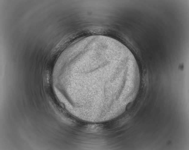 X0000115730117200912101501