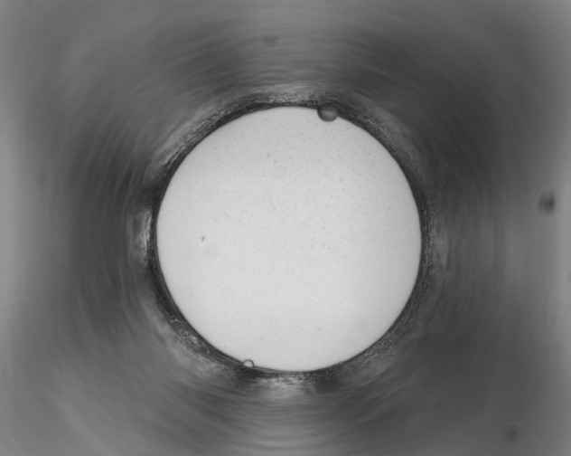 X0000115730118200912101501