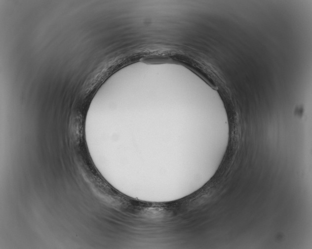 X0000115730119200912101501