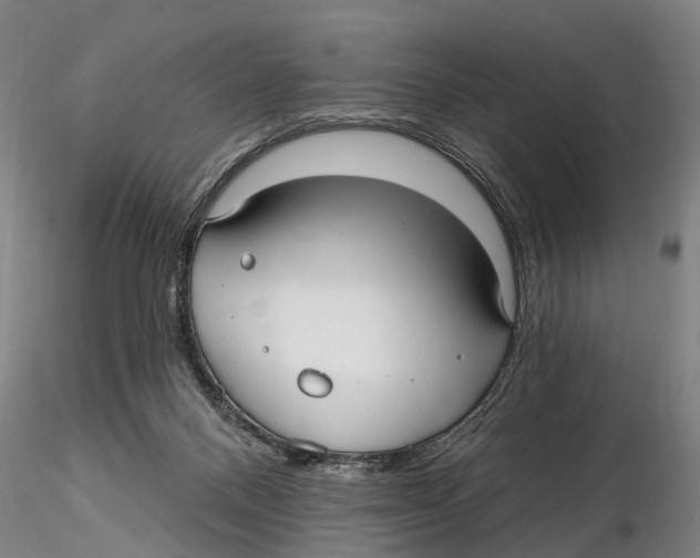 X0000115730120200912101501