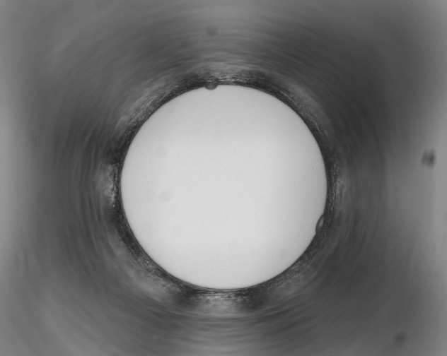 X0000115730121200912101501