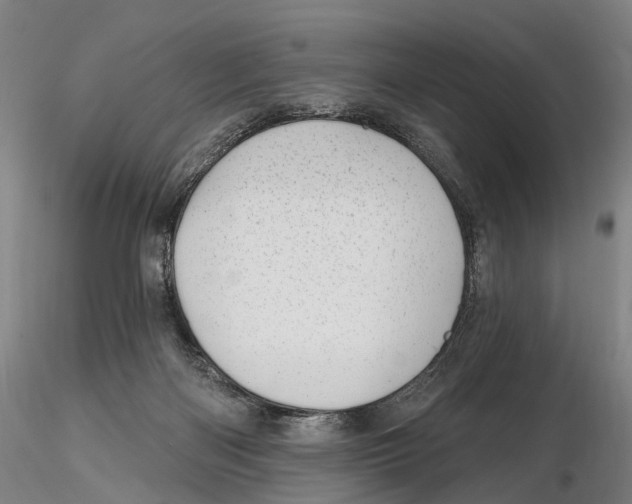 X0000115730122200912101501