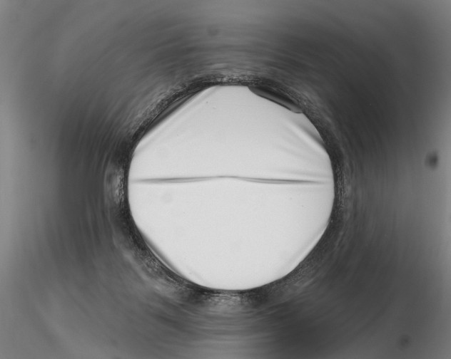 X0000115730123200912101501