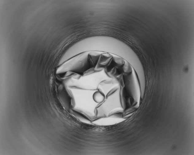 X0000115730124200912101501
