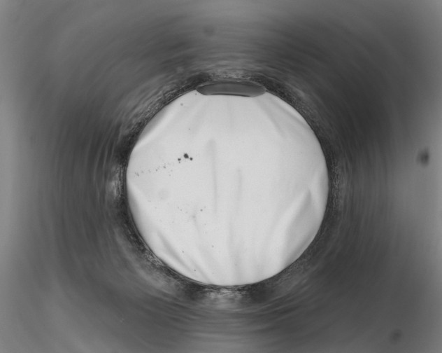 X0000115730125200912101501