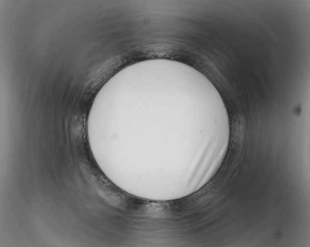 X0000115730126200912101501