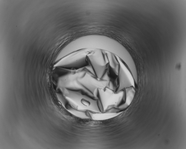 X0000115730128200912101501