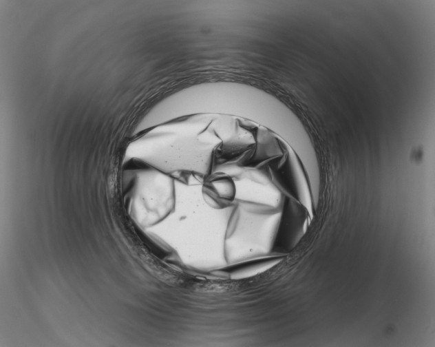 X0000115730129200912101501