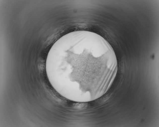 X0000115730135200912101501