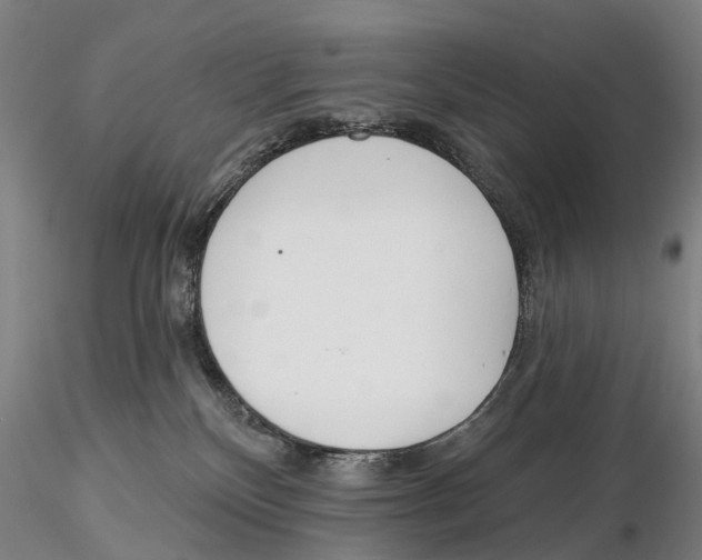 X0000115730136200912101501