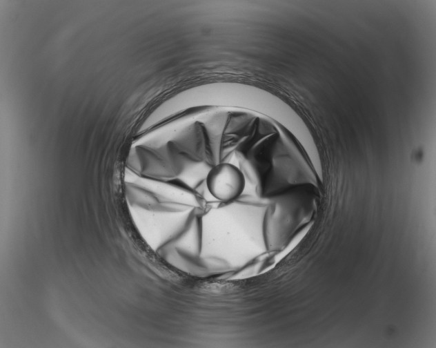X0000115730137200912101501