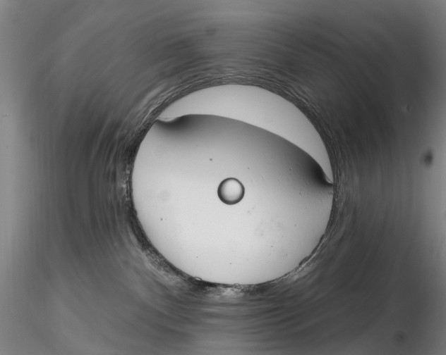 X0000115730140200912101501